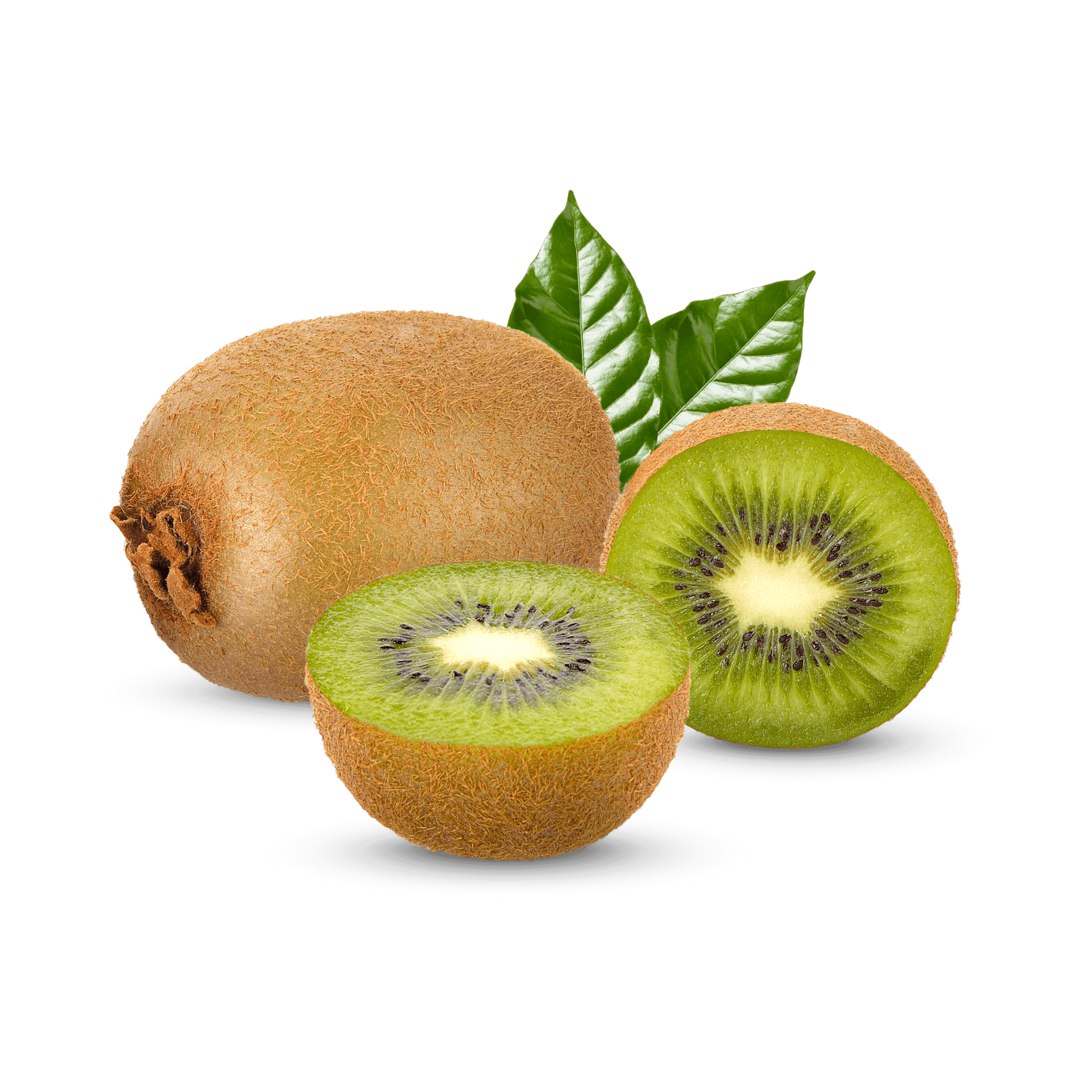 Voluptas quia sapiente